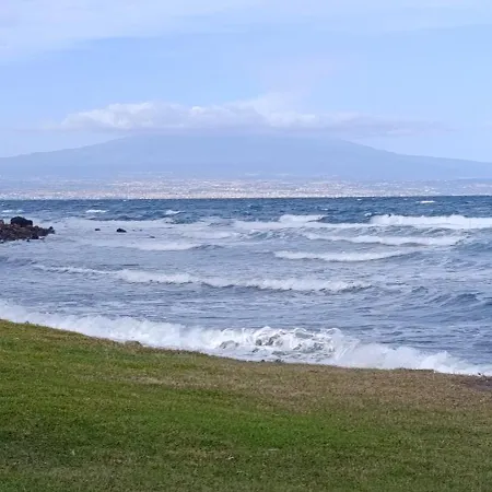 Perla Marina *