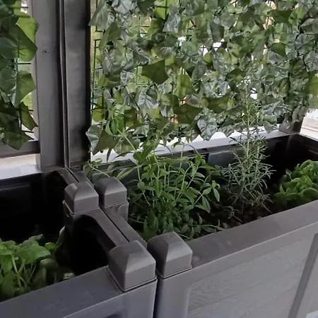 Perla Marina Hébergement de vacances *